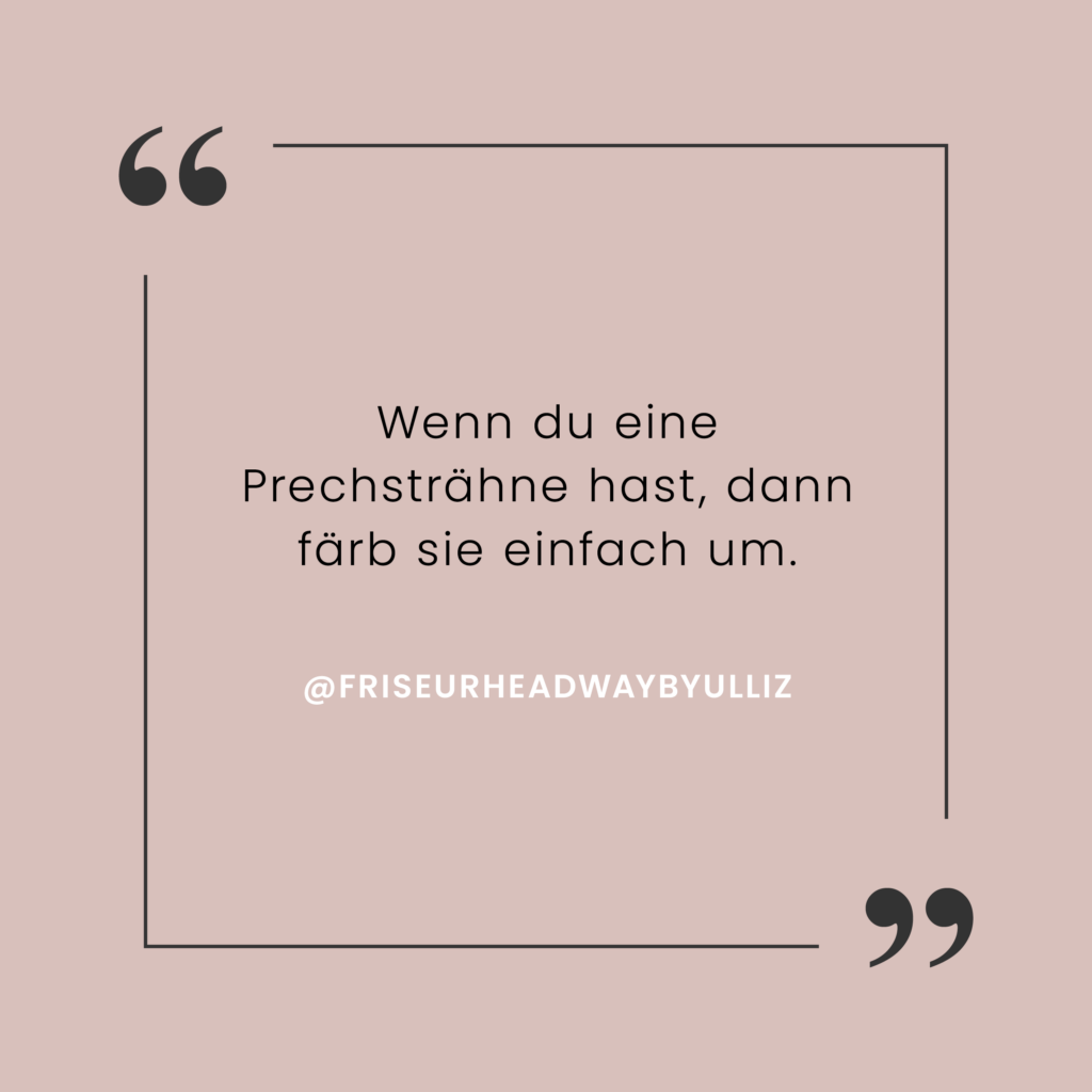 Spruch: Wenn du eine Prechsträhne hast, dann färb sie einfach um.